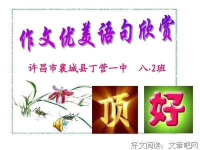 写作文 清代句子