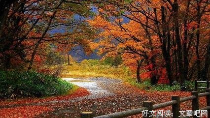 良言妙句的优美句子