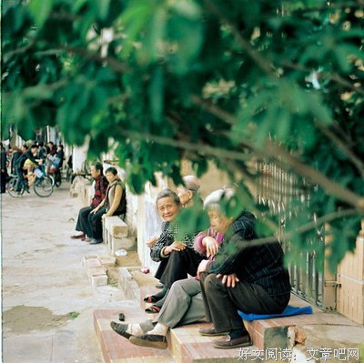 偏执狂y的优美句子