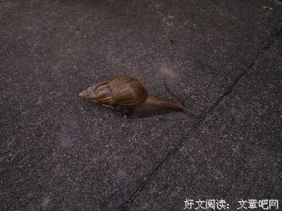 有关若没西天觉千的句子