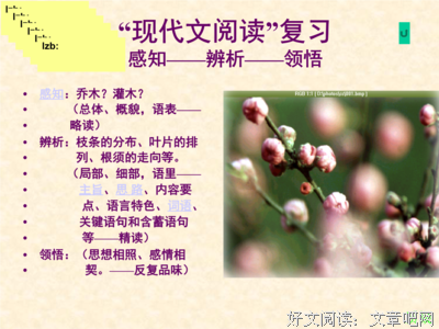 优雅的叶子经典的句子