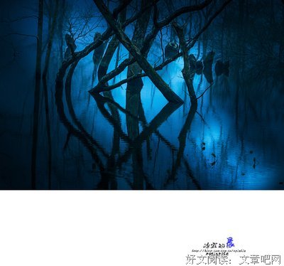 冷寂的句子