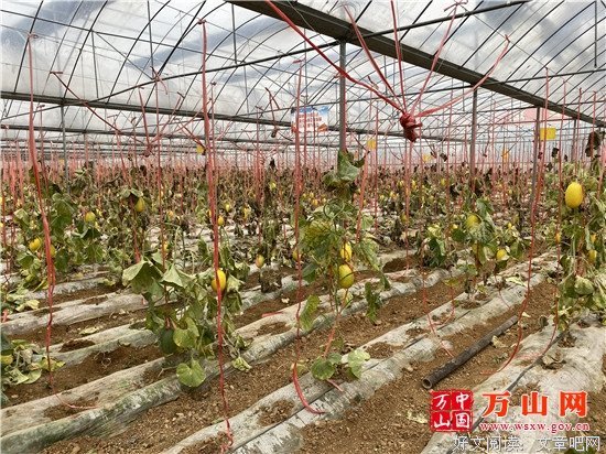 时间是检验真心的唯一标准