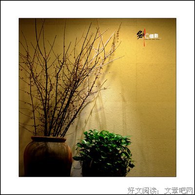 随心，随缘，随性！（写的真好）