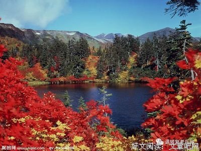 关于巩桂明名人名言