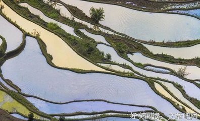 爱与年华好词好句