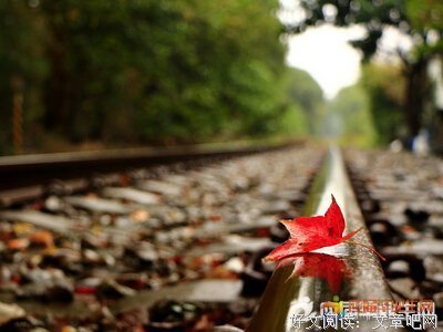 相思雨句子大全