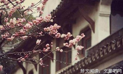 独木舟经典语录