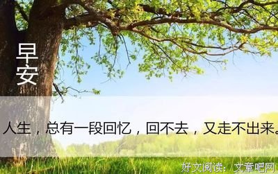 种有种句必有感悟优美的句子