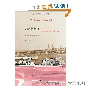 凯末尔传读后感100字