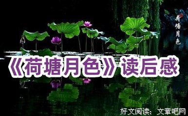 联大八年读后感精选