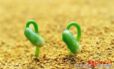 15条关于毁于一旦的经典语句