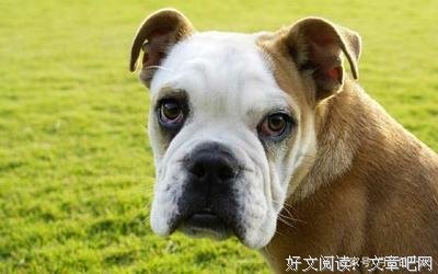 关于周而复始的唯美语录