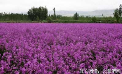 总是会有下一个春天