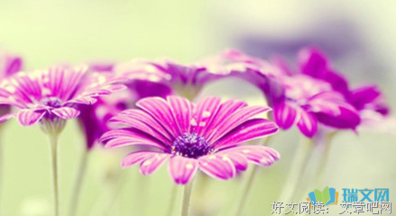 描写普度众生的经典句子