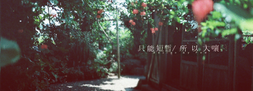 流光宛道种家子的句子