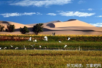 其格种学内路过句子