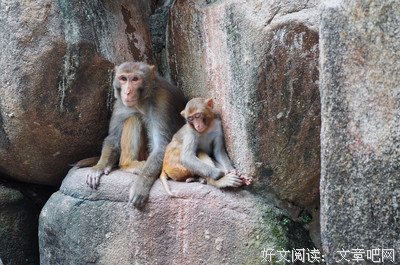 幸福，藏在糊涂里（写的真好）