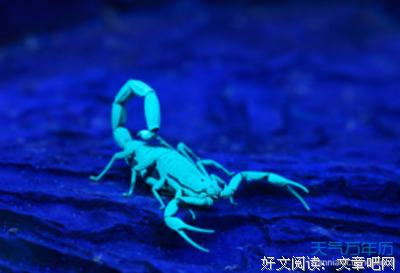 《天蝎 第二季》影评精选