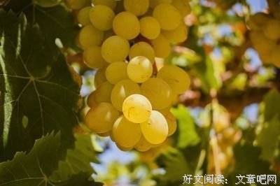 生上发些回不去的年少时光优美的句子