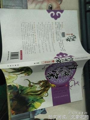 情迷北宋之北落师门读后感精选