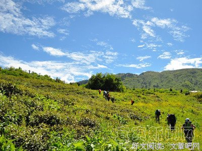 驴友擅闯峨眉后山失联5天：盲目徒步，就是一场说死就死的旅行