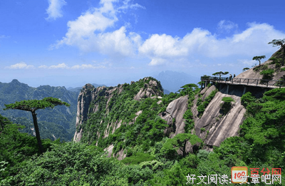 《陷阱》的观后感大全