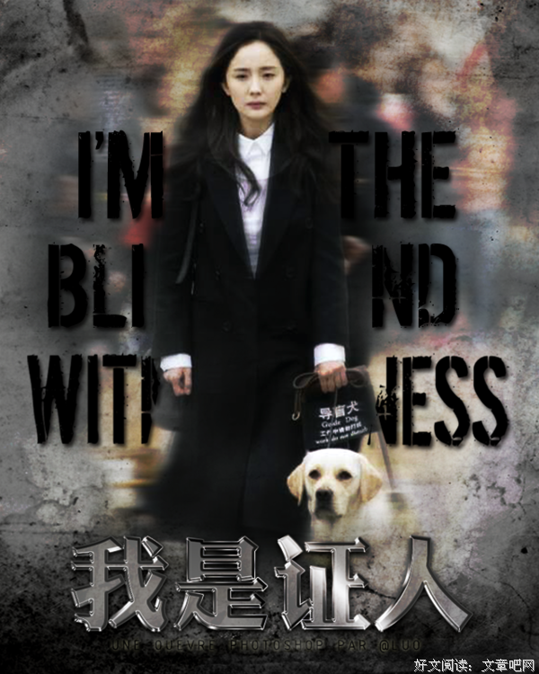 《我是证人》好看吗？经典影评锦集