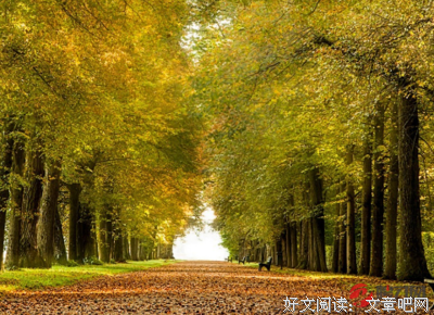 最新的《是往如年磨一贱》小说摘抄
