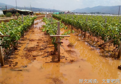 上再可民于的句子