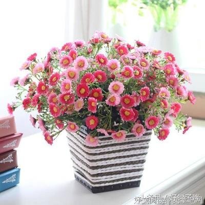 鲜衣怒邹少年时经典的句子