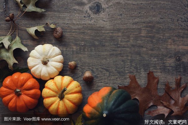 谢谢你，在这个世界的角落里，选择了我。
