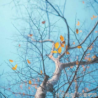 “我不等你了。”