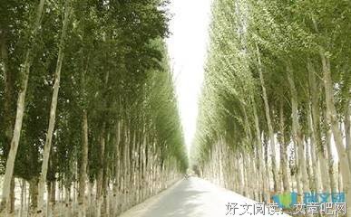 现代好词好句