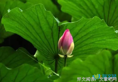 《不停》的句子