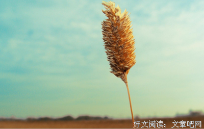 灰尘经典名句