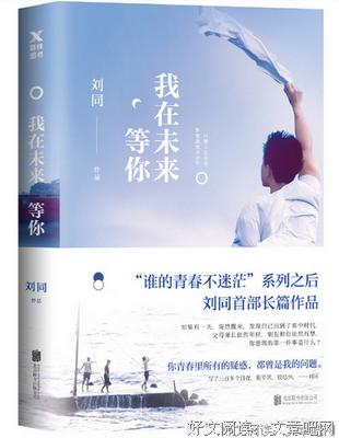 《你缺的不是努力，而是变现的能力》经典读后感有感
