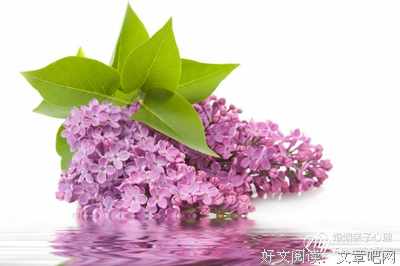 老公疑似出轨后，绝世好婆婆给我一箱珠宝！（3）