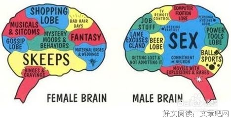 猎人笔记读后感摘抄