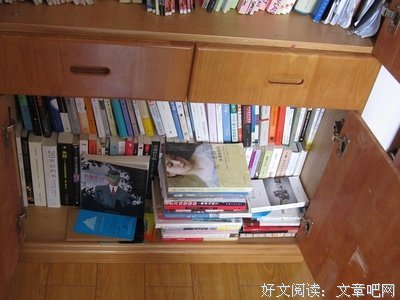 《简·奥斯丁失落的回忆》读后感摘抄