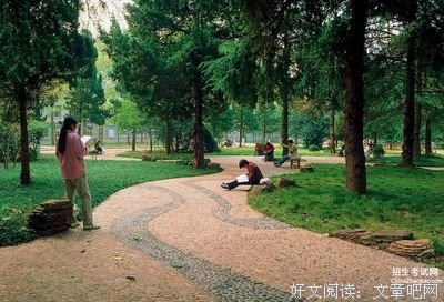 有关善解人意的美句摘抄