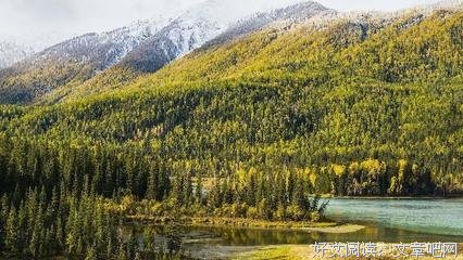 15条关于据理力争的经典语句