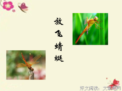 描写四面八方的经典句子