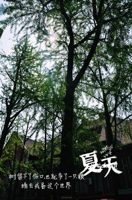 顾城的句子