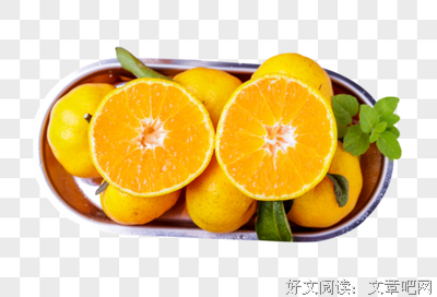 有关我爱的橘子的句子
