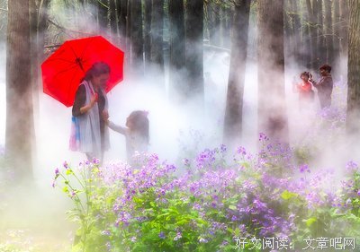 关于雾里看花的语句