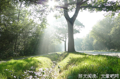 关于在所不惜的格言