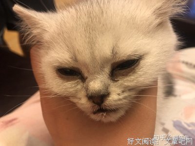 揪心的美好词好句