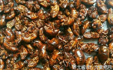 现在吃然在也是最好的时刻的句子