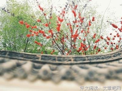 最全的白子华名言